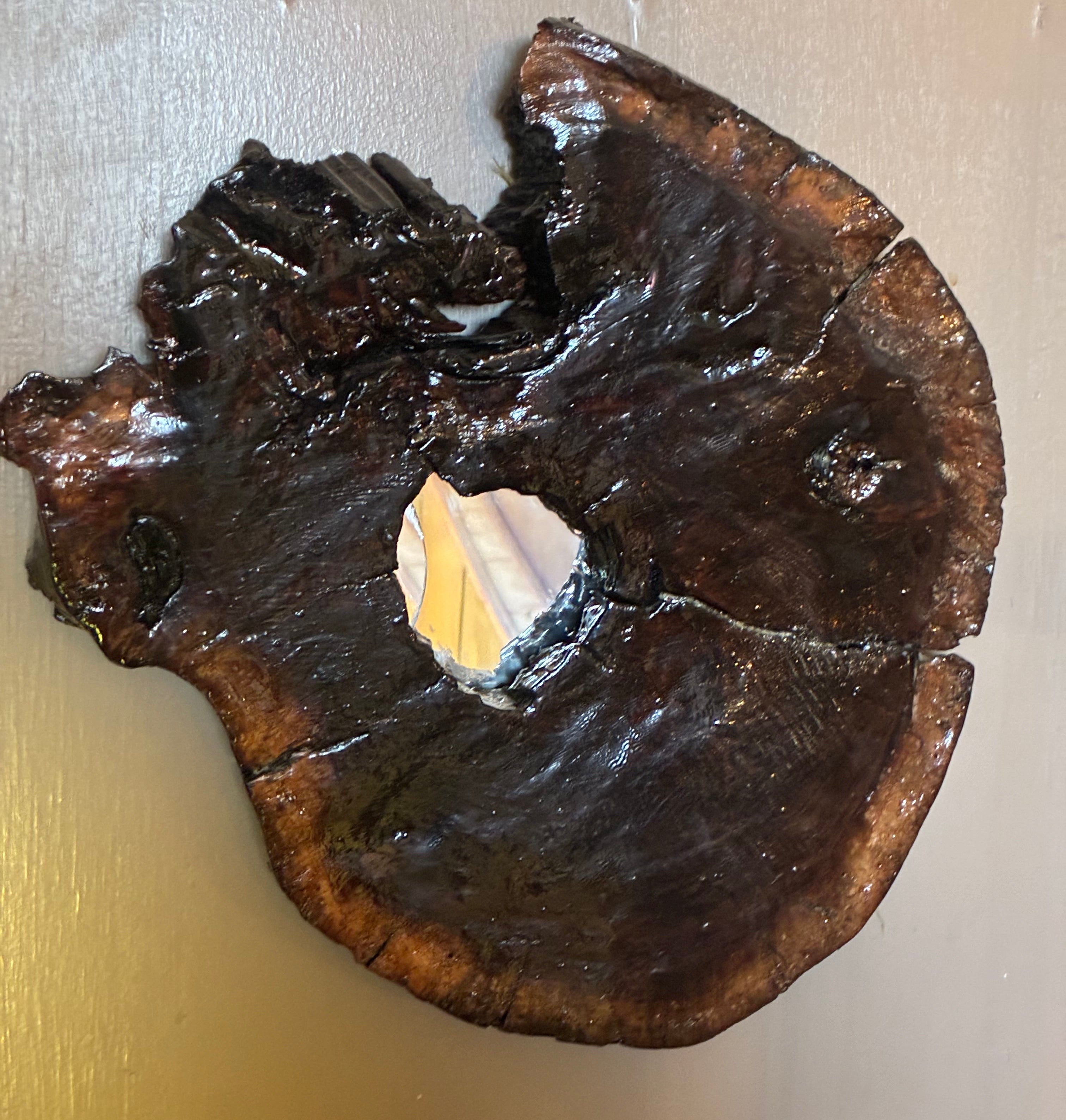 Black Walnut Wall Art – Organic Sculptural Wood Slice
Handcrafted